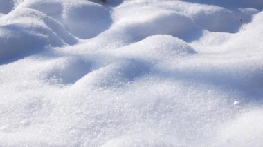 Az önce düşen beyaz kar, yerde kalın bir tabaka içinde uzanıyor ve güneşte parlıyor. Karlı kış. Güneşli kış günü.