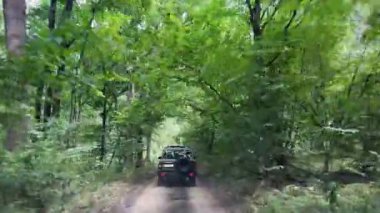 SUV, araba, orman yolunda hızlı gidiyor. Yan tarafında yaprak döken bir ormanın yeşil ağaçları var. Adrenalin ormanda gezileri, temiz havada aktif dinlenme..