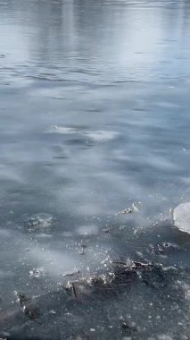 Kışın donmuş göl. Kıyıya yakın saydam buz parçaları. Göl kıyısında kış manzarası.