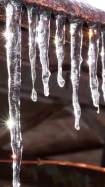 Buzdan yapılmış buz saçakları çatıda asılı ve güneşte ışıldıyor. Soğuk havada açık bir gün. Çatılardaki kar eriyor, su uzun buz saçakları içinde donuyor..