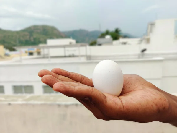 Primer Plano Mano Hombre Sosteniendo Huevo Blanco Palma Mano Aire —  Fotos de Stock