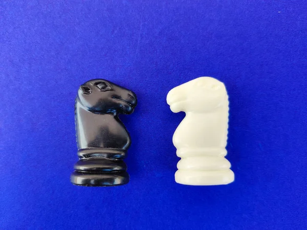 Top View Black White Chess Knight Horse Facing Each Other Stock Photo