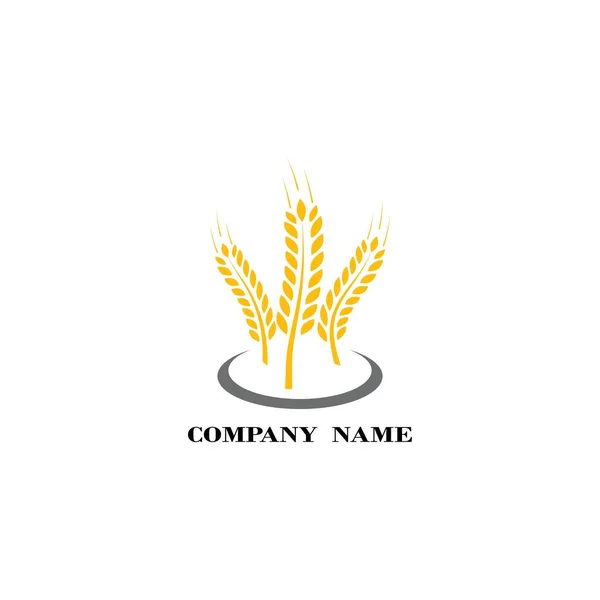 Landwirtschaft Weizen Logo Vorlage Vektor Icon Design — Stockfoto