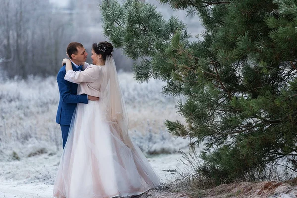 Newlyweds Kiss Hug Wedding Walk Winter Stand Together Pose Photographer — Stock Photo, Image