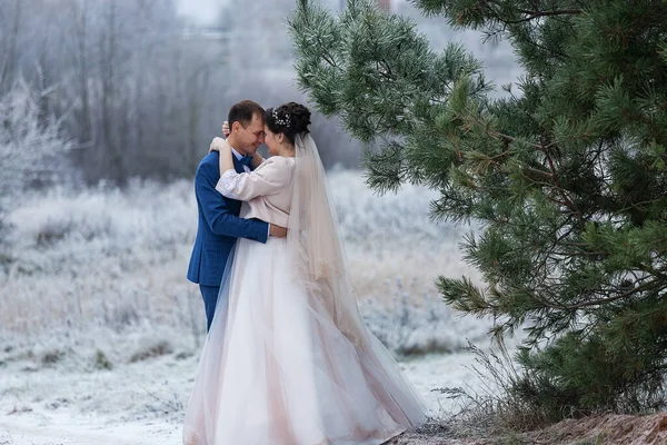 Frischvermählte Küssen Und Umarmen Sich Auf Einem Hochzeitsspaziergang Winter Und — Stockfoto