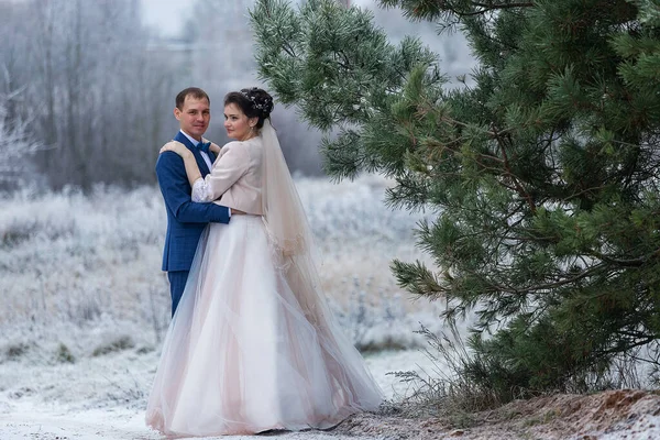 Frischvermählte Küssen Und Umarmen Sich Auf Einem Hochzeitsspaziergang Winter Und — Stockfoto