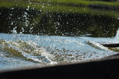 Tatildeki sporcular kürek çekiyorlar, tahta kürekler üzerinde yüzücüler suya çarpıyor, etrafa bir sürü damla saçıyorlar.