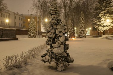 Bir kar fırtınasından sonra bir gece parkındaki ağaçlar, bir ladin dallarına sıkışmış bir sürü kar, insanların olmadığı güzel bir kış manzarası.