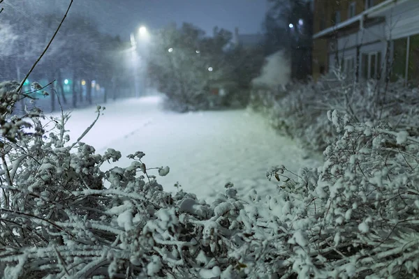 a night blizzard in the city, a quiet deserted park in the light of lanterns, a winter landscape of a quiet street