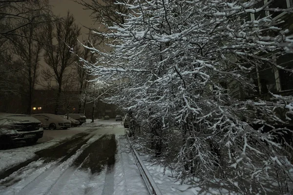 Árboles Parque Nocturno Después Una Tormenta Nieve Mucha Nieve Pegada — Foto de Stock