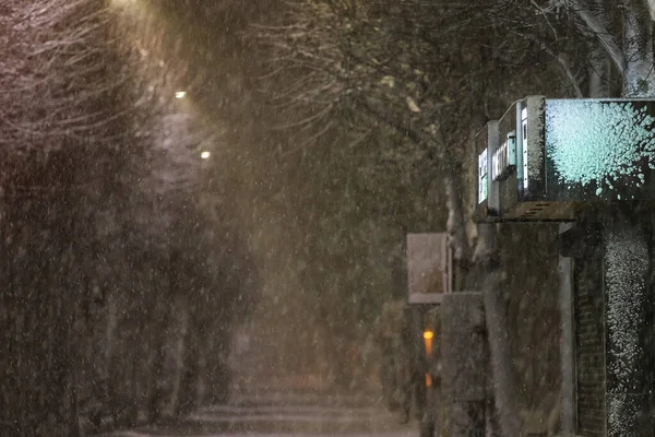 Blizzard Nocturne Dans Ville Parc Désert Calme Lumière Des Lanternes — Photo