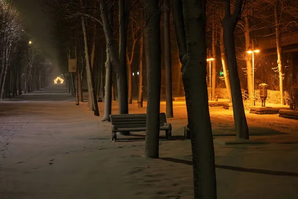 Blizzard Nocturne Dans Ville Parc Désert Calme Lumière Des Lanternes — Photo