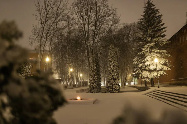 Drzewa Nocnym Parku Burzy Śnieżnej Dużo Śniegu Gałęziach Świerku Piękny — Zdjęcie stockowe