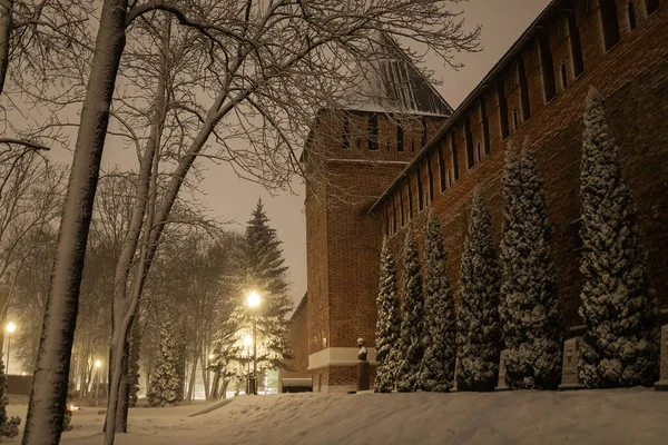 a night blizzard in the city, a quiet deserted park in the light of lanterns, a winter landscape of a quiet street