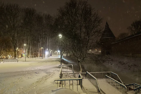 Parc Ville Par Une Nuit Hiver Bel Éclairage Décoratif Forte — Photo