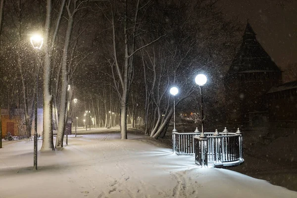 Parc Ville Par Une Nuit Hiver Bel Éclairage Décoratif Forte — Photo