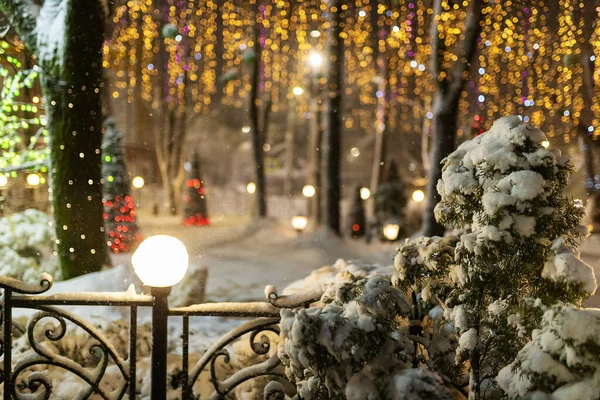 Kış Parkı Çelenklerle Süslenmiş Güzel Fotoğraf Bölgesi Karla Kaplı Gece — Stok fotoğraf