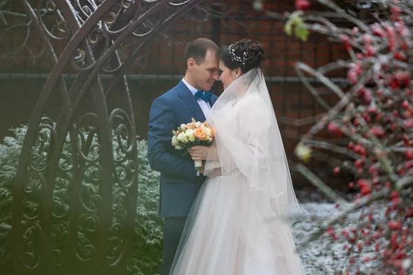 Two Newlyweds Wedding Walk Winter Lovers Happily Hug Gently Kiss — Stock Photo, Image