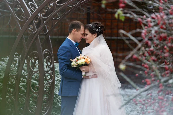 Two Newlyweds Wedding Walk Winter Lovers Happily Hug Gently Kiss — Stock Photo, Image