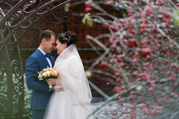 Δύο Νεόνυμφοι Γαμήλιο Περίπατο Χειμώνα Εραστές Αγκαλιάζονται Και Φιλιούνται Απαλά — Φωτογραφία Αρχείου