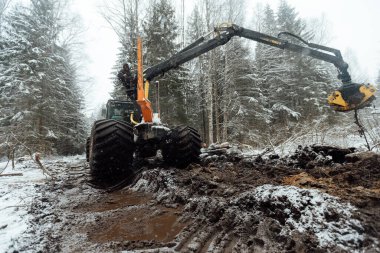 Hasatçı ağaçları keser, otomatikleştirilmiş bir makinenin yardımıyla odun toplar, kış ormanlarında düşen ağaçlar, insan aktiviteleri doğal çevreyi yok eder.