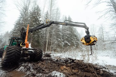 Yasadışı ağaç kesme, endüstriyel kazıcı kovası devrilen ağaçları yakalıyor ve yolu açıyor, marangozluk endüstrisi için hammadde hasat ediyor.