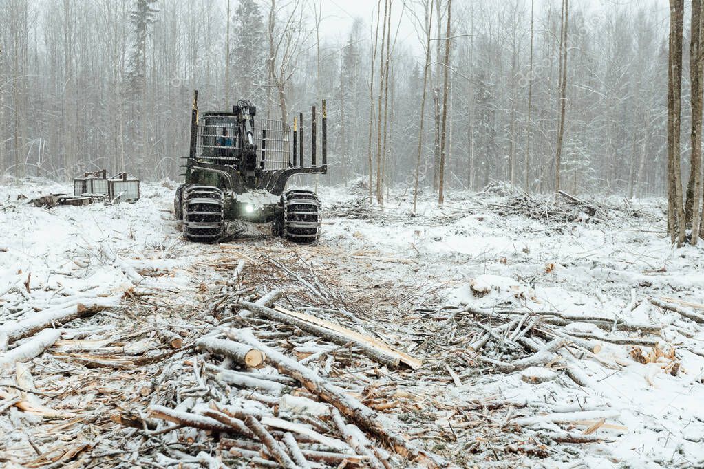 illegal logging, harvesting of wood for the manufacturing industry, transport loaded with felled tree trunks, transportation of wood in winter
