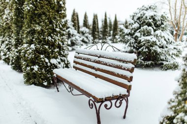 Arka bahçedeki Noel ağaçları karda. Çardağı olan rahat bir bahçe ve kışın bir kır evinin sokakları.