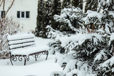Arka bahçedeki Noel ağaçları karda. Çardağı olan rahat bir bahçe ve kışın bir kır evinin sokakları.