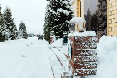 Arka bahçedeki Noel ağaçları karda. Çardağı olan rahat bir bahçe ve kışın bir kır evinin sokakları.