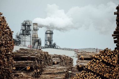 Fabrikadaki devrilmiş ağaçların deposu. Sigara fabrikası bacaları atmosferi kirletir. Marangozluk şirketi ormanları yok ediyor ve çevreye zarar veriyor. ahşap hammaddeler
