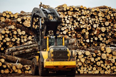 Kereste yüklemek için ön yükleyici. Bir endüstriyel traktör nakliye aracı odunları parçaladı. Ahşap işleme tesisi. Depoya kereste yükleme