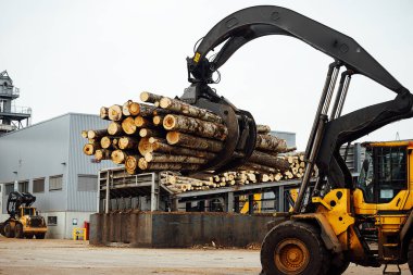 Kereste yüklemek için ön yükleyici. Bir endüstriyel traktör nakliye aracı odunları parçaladı. Ahşap işleme tesisi. Depoya kereste yükleme