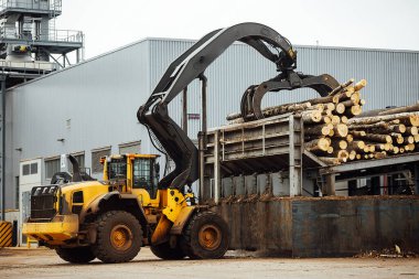 Kereste yüklemek için ön yükleyici. Bir endüstriyel traktör nakliye aracı odunları parçaladı. Ahşap işleme tesisi. Depoya kereste yükleme