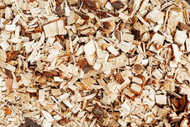 Talaş dokusunu. Ahşap işçiliğinde üretim atığı. testereyle kesilen küçük parçaların makro fotoğrafı