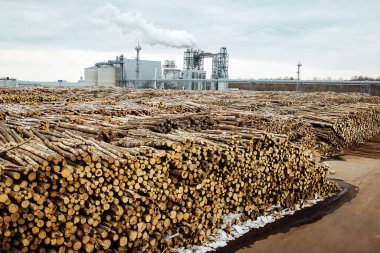 Fabrikadaki devrilmiş ağaçların deposu. Sigara fabrikası bacaları atmosferi kirletir. Marangozluk şirketi ormanları yok ediyor ve çevreye zarar veriyor. ahşap hammaddeler