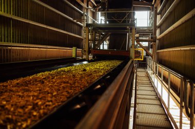 Talaş taşıyıcısı. Ahşap işleme tesisi odun parçalarını taşır. Biyoyakıtlar için üretim atığının kullanımı