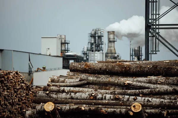 Magazijn Van Gevelde Bomen Fabriek Rookfabriekschoorstenen Vervuilen Atmosfeer Houtbewerkingsonderneming Vernietigt — Stockfoto