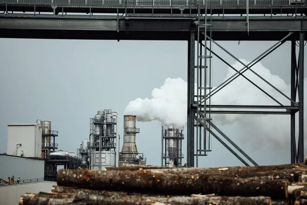 Magazijn Van Gevelde Bomen Fabriek Rookfabriekschoorstenen Vervuilen Atmosfeer Houtbewerkingsonderneming Vernietigt — Stockfoto