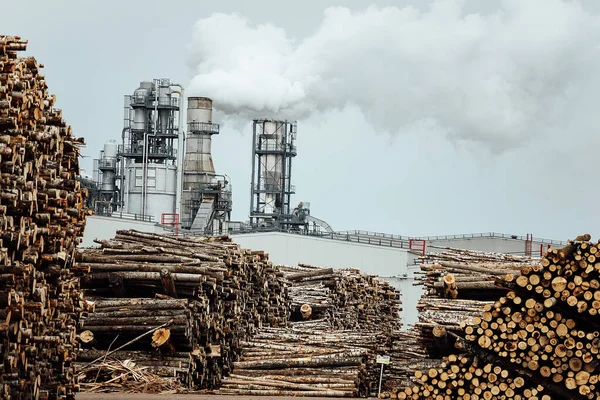 Magazijn Van Gevelde Bomen Fabriek Rookfabriekschoorstenen Vervuilen Atmosfeer Houtbewerkingsonderneming Vernietigt — Stockfoto