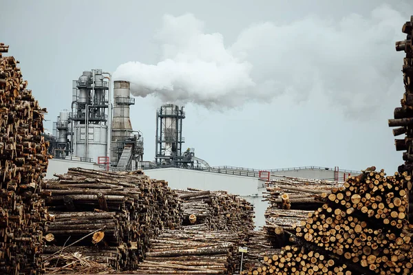 Fabrikadaki devrilmiş ağaçların deposu. Sigara fabrikası bacaları atmosferi kirletir. Marangozluk şirketi ormanları yok ediyor ve çevreye zarar veriyor. ahşap hammaddeler