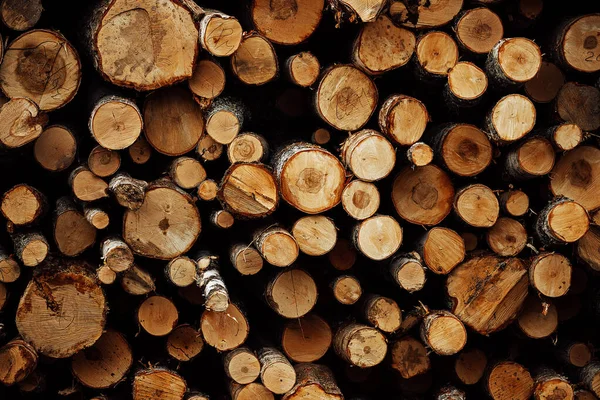 Fabrikada Bir Yığın Ağaç Var Depoda Bir Sürü Testere Ahşabı — Stok fotoğraf