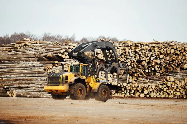 front loader for loading timber. an industrial tractor transports felled wood. wood processing plant. loading of timber to the warehouse