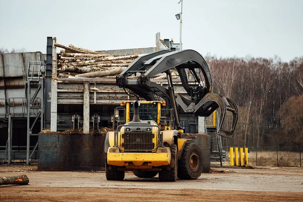 Front Loader Loading Timber Industrial Tractor Transports Felled Wood Wood — Stock Photo, Image