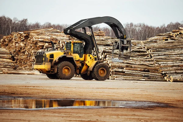 Front Loader Loading Timber Industrial Tractor Transports Felled Wood Wood — Stock Photo, Image