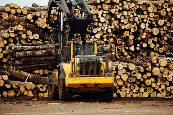 Kereste Yüklemek Için Yükleyici Bir Endüstriyel Traktör Nakliye Aracı Odunları — Stok fotoğraf