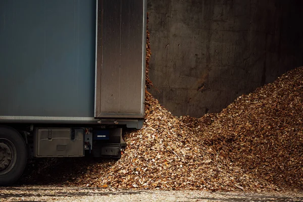 the truck unloads tons of wood waste. sawdust and shavings are stored for further processing. mountain of waste wood