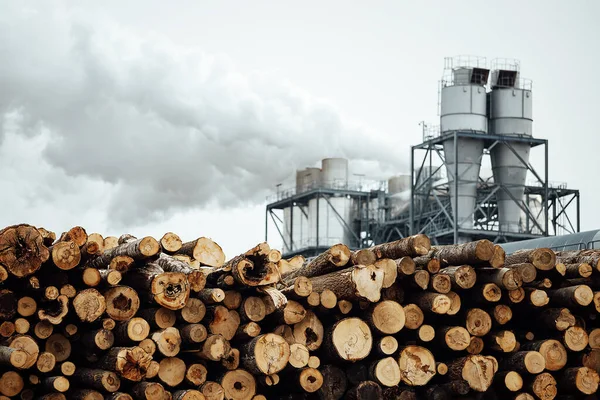 Textuur Van Vele Stammen Gevelde Bomen Houtkap Ontbossing Industriële Schaal — Stockfoto