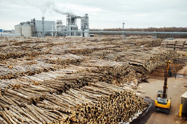 Magazijn Van Gevelde Bomen Fabriek Rookfabriekschoorstenen Vervuilen Atmosfeer Industriële Kraan — Stockfoto