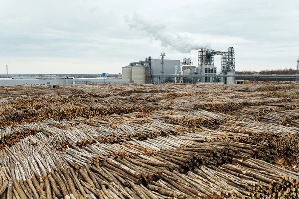 Magazijn Van Gevelde Bomen Fabriek Rookfabriekschoorstenen Vervuilen Atmosfeer Industriële Kraan — Stockfoto